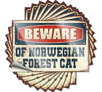 Funny Car Decals Beware of Norwegian Forest Cat Funny Sticker 10 Pcs Car Decals Sticker Car(6X9CM)