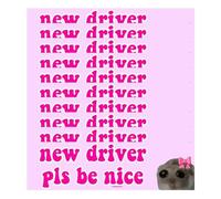 Funny Car Sticker For New Driver, New Driver Pls Be Nice For New Driver, Funny Sad Cat Bumper Sticker, Car Accessories For New Drivers