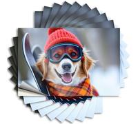 Funny Car Stickers A Cheerful Dog Dressed for Winter Sports. Stickers 10Pcs Man Cave Sign Decor Bumper Sticker(6X9CM)