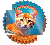 Funny Car Stickers Adorable Orange Tabby Kitten Portrait Stickers 10Pcs Funk Around and Find Out Sticker Funny Stickers(6X9CM)