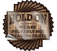 Funny Car Stickers Hold On We're Probably Not Wearing Pants Funny Sticker 10 Pcs Car Window Stickers Bumper Stickers, Decals & Magn(8X12CM)