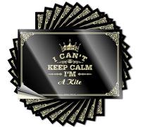 Funny Car Stickers I Can't Keep Calm I'm A Kite Stickers Mechanic Stickers Little Man Cave Sign(6X9CM)