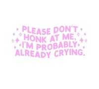 Funny Car Stickers Pink Please Don't Honk At Me, I'm Probably Already Crying Fit Car SUV Trucks