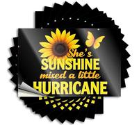 Funny Car Stickers Sunshine and Hurricane: A Unique Blend Stickers 10Pcs Bar Signs for Home Decor Stickers Girls(12X18CM)