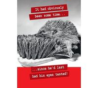 Funny Card Hedgehog and Brush Greetings Card - Paw Play Animal Humour Range - Card For Any Occasion