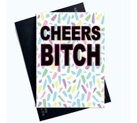 Funny Cards Cheers Bitch Friend Bestie Card Birthday Colleague Mate Pal PC1080