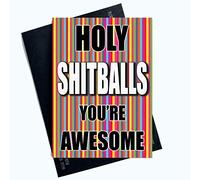 Funny Cards Holy Shitballs You're Awesome Thank You Birthday Card Friend PC1046