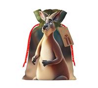 Funny Cartoon Kangaroo Zoo (2) Print Eco-Friendly Gift Drawstring Bag Holiday Present Pouches Party Favors Goodie Bags