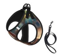 Funny Cartoon Kangaroo Zoo (2) Print Pet Vest Harnesses Leash Set Reflective Puppy Vest Dogs Walking Training Dog Harness