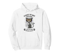 Funny Cat Already Bothered Leave Me Alone Kitty Pullover Hoodie