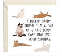 Funny Cat Birthday Card - 6 out of 6 Cats Don't Care - 145 x 145mm