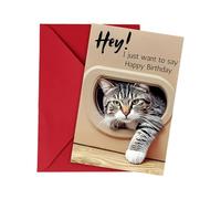 Funny Cat Birthday Card, Cat Lovers Birthday Gifts Cards, Premium Birthday Card with Envelope, Cute Cat Bday Themed Gifts, for Mom Dad Wife Husband Daughter Son Him Her Brother Sister Friend Cat Lover