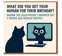 Funny Cat Birthday Card for Cat Owner - What Did You Get Your Human for Their Birthday? The Dead Mouse I Dropped Off 2 Weeks Ago - Humorous Feline Design
