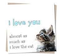 Funny Cat Birthday Card Or Anniversary Card For Partner - I Love You Almost As Much As I Love The Cat - Valentines Card For Cat Lovers, Husband, Wife, Boyfriend, Girlfriend