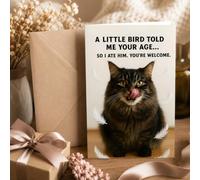 Funny Cat Birthday Card with Envelope, Paper Humorous A Little Bird Told Me Greeting Card, Unique Gift for Cat Lovers Friends Family, All Occasions