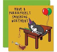 Funny Cat Birthday Cards for Men & Women, Knock Off Cat | Happy Birthday Card for Mum or Dad Sister Brother Daughter Uncle Auntie Nan Grandad Best Friend 145mm Bday Greeting Cards
