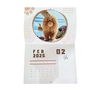 Funny Cat Butthole Calendar - 12 Glossy Thick Pages, 2025 Cates Balls Calendars | Humorous Catess Date Tracker for Home Office Uniquee Gift Fun Calendares Collectible Decoresthole Cale