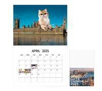 Funny Cat Calendar 2025 - Big Cat Wall Calendar 2025 | 12 Months Hanging Cat Calendar Wall | Thick and Robust Paper | Cats Rule The Earth Family Planner | Vertical Monthly Square