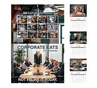Funny Cat Calendar, Vertical Wall Calendar 2026, Organizational Tool Design Planning Desk Kitchen