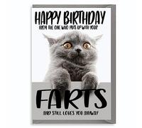 Funny Cat Card, Birthday Mum Dad Aunt Uncle Brother Sister Old Card Funny Rude Love Joke Present - CAT Fart C43
