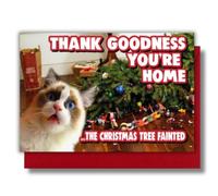 Funny Cat Christmas Card - The Christmas Tree Fainted XM362 | Mischievous cat humour for friends, family and pet lovers who enjoy funny festive cards