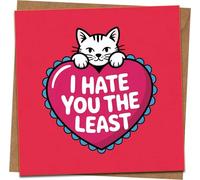 Funny Cat Greeting Card - I Hate You The Least - 145mm x 145mm Square - Pink Heart - Blank Inside - Includes Kraft Envelope - Valentines, Anniversary, Birthday, Boyfriend Girlfriend