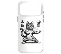 Funny Cat in Tai Chi Stance Martial Arts Yin Yang Balance Case for iPhone 17 Pro Max