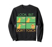 Funny Cat Kitten Look But Don't Touch Hands Off Kitty Lover Sweatshirt