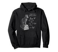Funny Cat Math Physics Equations Science Humor Pullover Hoodie