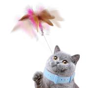 Funny Cat Stick Toy - Pet Teaser Wand With Silicone Collar, Kitten Catcher Interactive Toy, Exercise Playing Companion For Indoor Cats, Fun Teaser Set Kit Box | For Kitty Having Fun Play