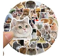 Funny Cat Stickers Set, 50 Pcs Cute Cat Meme Decals Vinyl Stickers for Cat Lovers Water Bottle Scrapbook Phone