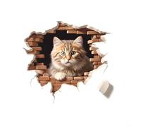 Funny Cat Wall Stickers PVC Decals with 3D Effect for Decorating Kitchen, Bathroom, Bedroom and Living Room Walls with Easy Application