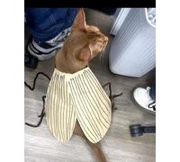 Funny Cat Wing & Antenna Costume - Insect Style Pet Accessory for Cats, Unique Bug Look with Wings and Multiple Feelers (1 Pack)