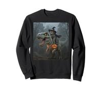 Funny Cat Witch Riding a T-Rex Cute Halloween Meme Sweatshirt