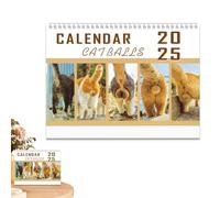 Funny Cats Calendar - Monthly Planning Calendar, Cat Ass | 2025 Vertical Square Calendar for Home Decoration, Ideal for Children and Adults, Hanging Planner
