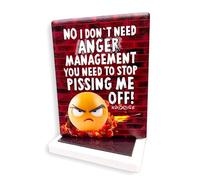 Funny Ceramic Fridge Magnet - "No I Don't Need Anger Management, You Need To Stop Pissing Me Off!" | Novelty Kitchen Gift | 8 x 6 cm | UK Seller