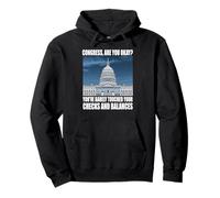Funny Checks And Balances Meme Congress Political Joke Gag Pullover Hoodie