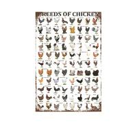 Funny Chicken Sign, Metal Chicken Coop Tin Signs, Breeds of Chicken, Yard Sign Garage Farm Garden Wall Decor Sign Plaque Outdoor for Home Fence 8 X 12 Inches
