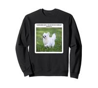 Funny Chihuahua Bhagavad Gita Quote Silly Weird Humor Sweatshirt