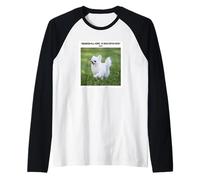 Funny Chihuahua Dante's Inferno Hope Quote Silly Weird Humor Raglan Baseball Tee
