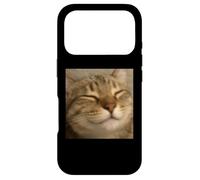 Funny Chill Sleepy Cat Face Blurry Photo Meme Case for iPhone 17 Pro