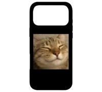 Funny Chill Sleepy Cat Face Blurry Photo Meme Case for iPhone 17 Pro Max