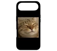 Funny Chill Sleepy Cat Face Blurry Photo Meme Case for iPhone Air