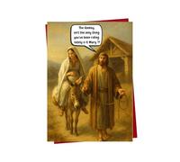 Funny Christmas Card - Donkey - Cheeky Rude Xmas Card for Him Her Friends Colleagues XMJBS13