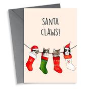 Funny Christmas Card - Santa Claws