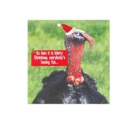 Funny Christmas Card - Turkey in Santa Hat Singing Slade Song Everybody's Having Fun