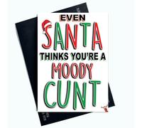 Funny Christmas Cards Even Santa Thinks You're A C*nt Card for Friend Christmas Colleague Card Boyfriend Xmas Card Merry Xmas Banter PC582