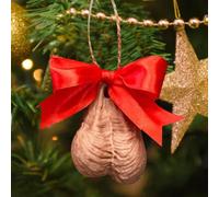 Funny Christmas Ornaments, Christmas Stocking Stuffers, Gag Gifts for Men & Women, Prank Ornament, Ugly Christmas Tree Decorations, Funny Ornaments for Adults