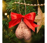 Funny Christmas Tree Decorations - 2D Acrylic Ballballs Rude Baubles Hanging Ornament,Christmas Tree Pendant Handmade Decor Hanging Ornament for Xmas Prank Gift for Friends Family