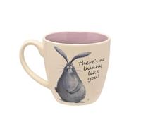 Funny Coffee Mug Ceramic Cup Bunny Rabbit - Novelty Gifts Humorous Mugs | No Bunny Like You 300ml Capacity, Dishwasher Safe, Microwave Safe, Coffee Gifts, Tea Mug, Farm Animal Design, Novelty Mugs
